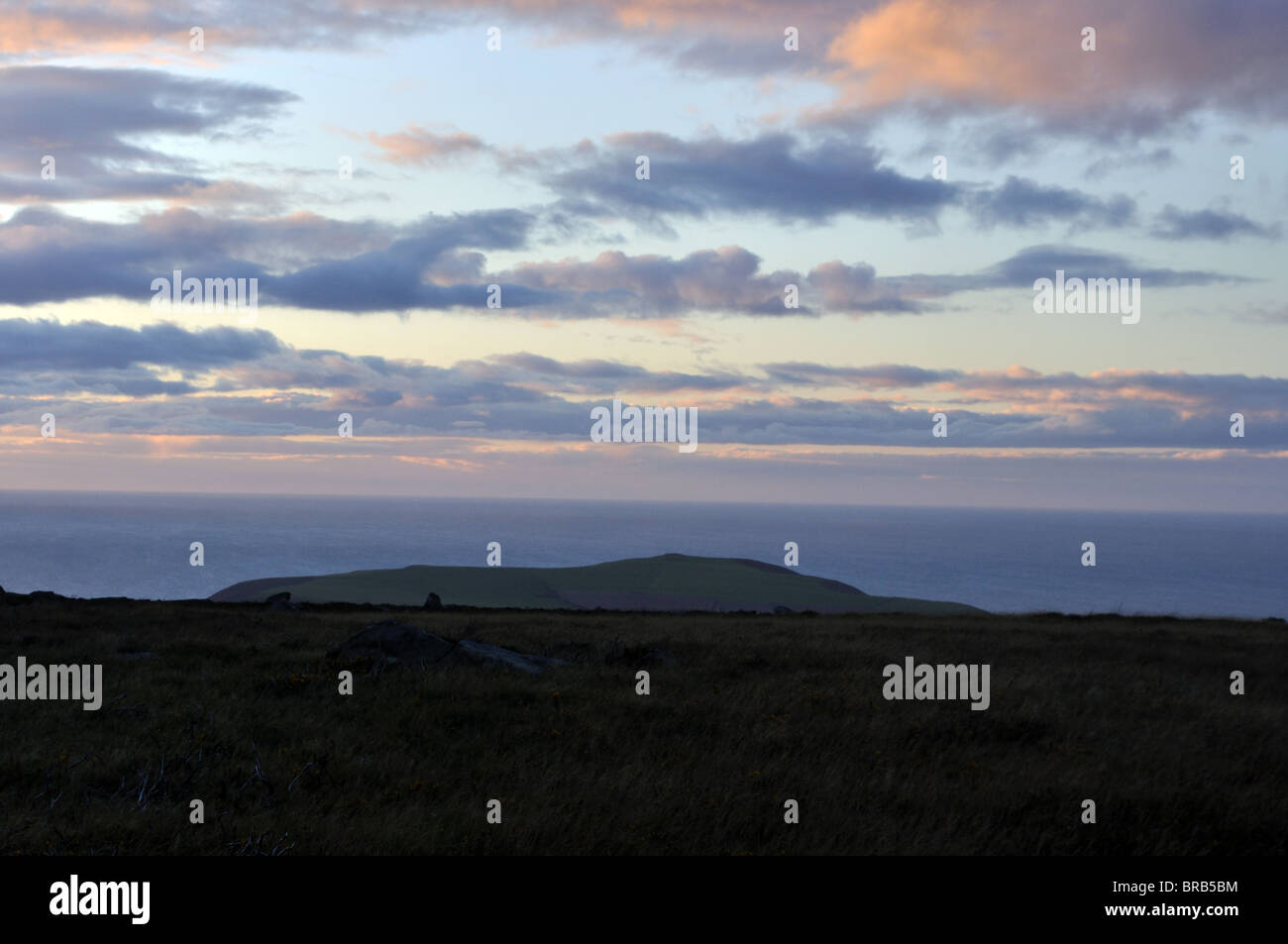 Blick auf Dinas Kopf und Cardigan Bay aus gemeinsamen Carningli, Newport, Pembrokeshire, Wales, Vereinigtes Königreich Stockfoto