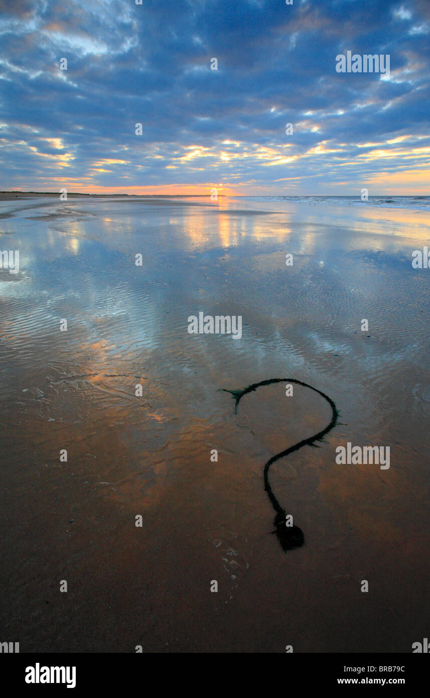 Eine alte Seil auf Brancaster Strand in der Form eines Fragezeichens. Stockfoto