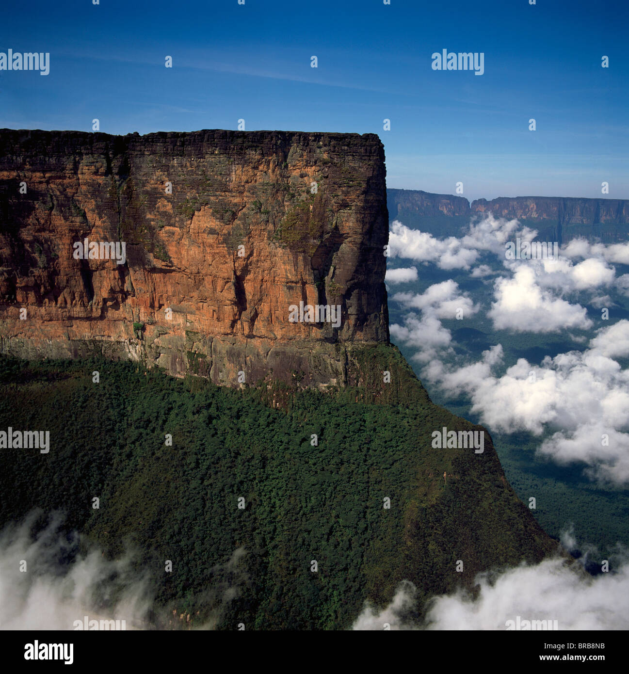 Luftaufnahme der Tepuis zeigt Mount Roraima (Cerro Roraima), Venezuela, Südamerika Stockfoto