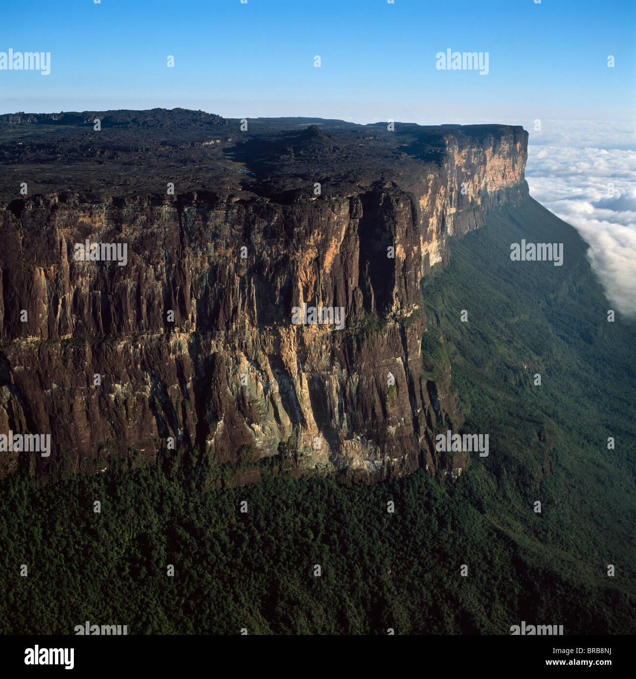 Luftaufnahme der Tepuis zeigt östlichen Klippe mit Blick auf Brasilien und Guyana, Mount Roraima, Venezuela, Südamerika Stockfoto