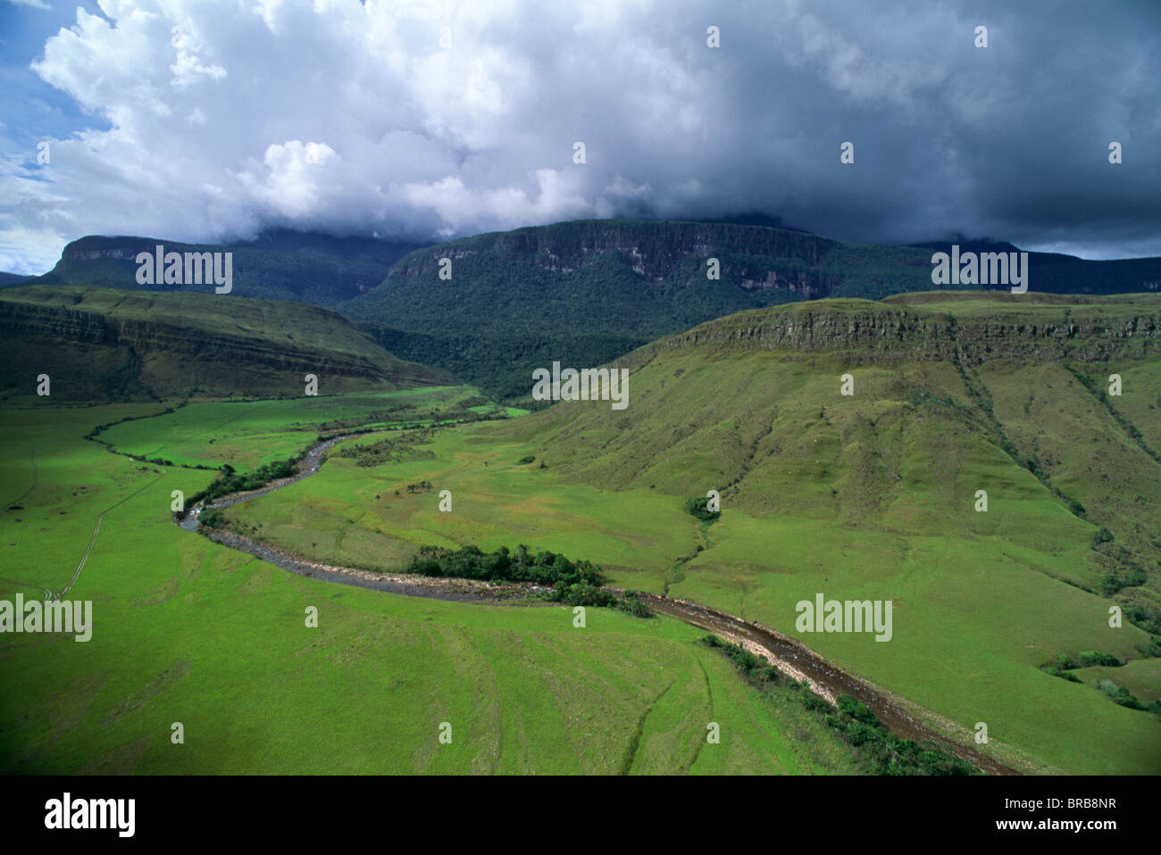 Luftaufnahme der Tepuis zeigt Südseite des Auyantepui von Uruyen Tal, Canaima National Park, UNESCO, Venezuela Stockfoto