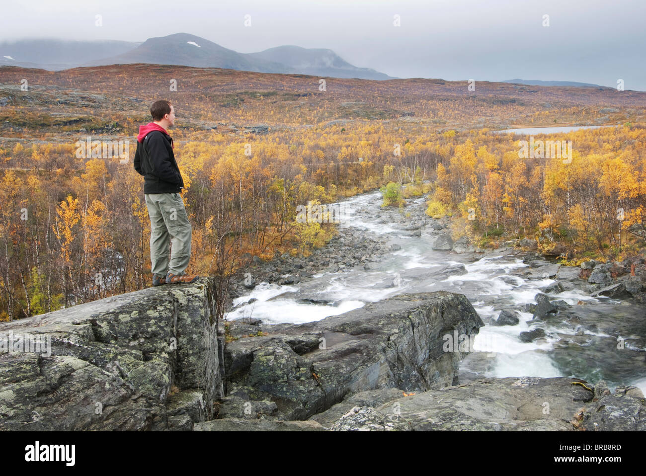 Walker, Panorama, Fluss Galggojohka, Nord-Norwegen, Lappland, September, Herbst Stockfoto