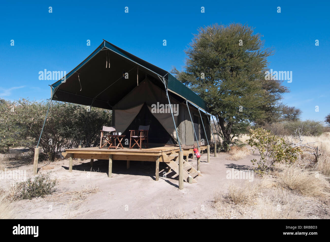 Kalahari Plains Camp, Deception Valley, Central Kalahari Game Reserve, Botswana Stockfoto