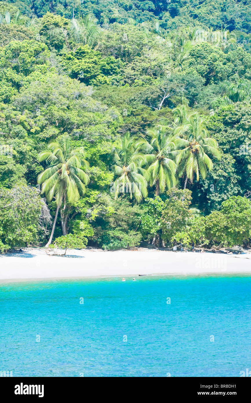 Manuel Antonio Strand, Nationalpark Manuel Antonio, Quepos, Costa Rica