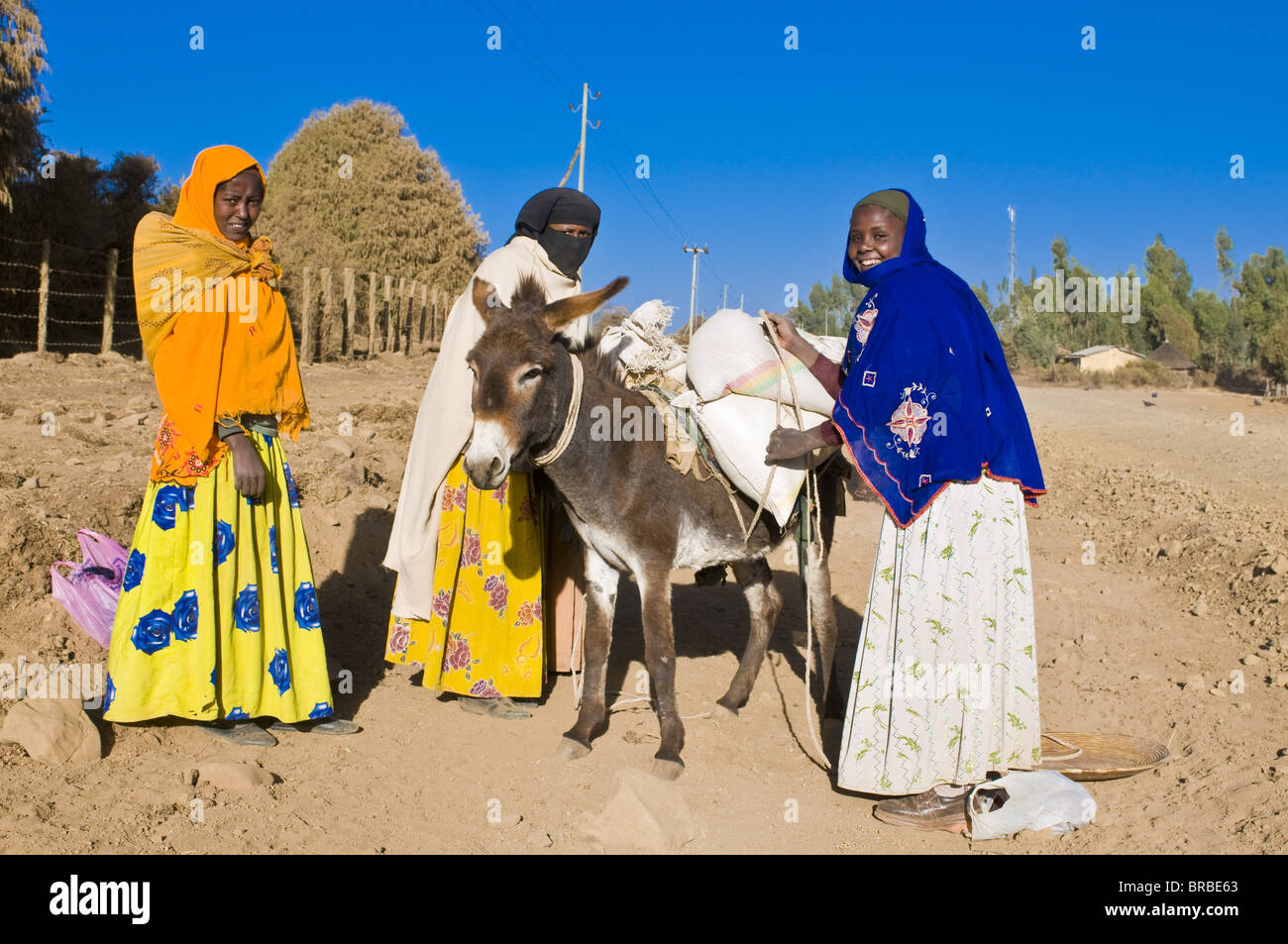 Bunt gekleidete Frauen laden einen Esel in der Nähe von Sof Omar, Ost-Äthiopien Stockfoto