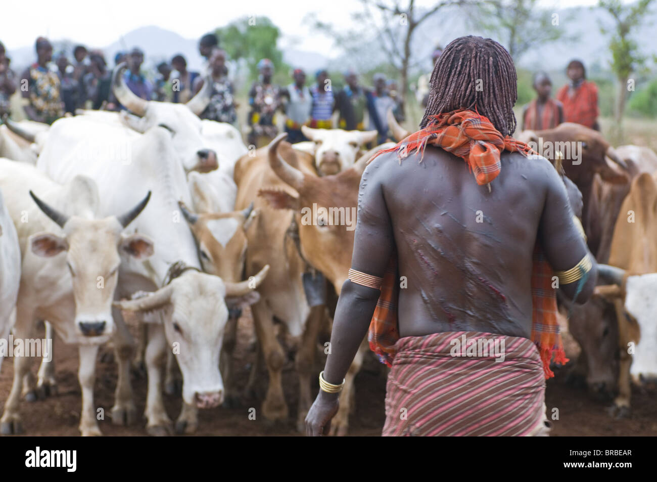 Blutende Hamer Frau nach gepeitscht, Jumping Bull Zeremonie, Omo-Tal, Äthiopien Stockfoto