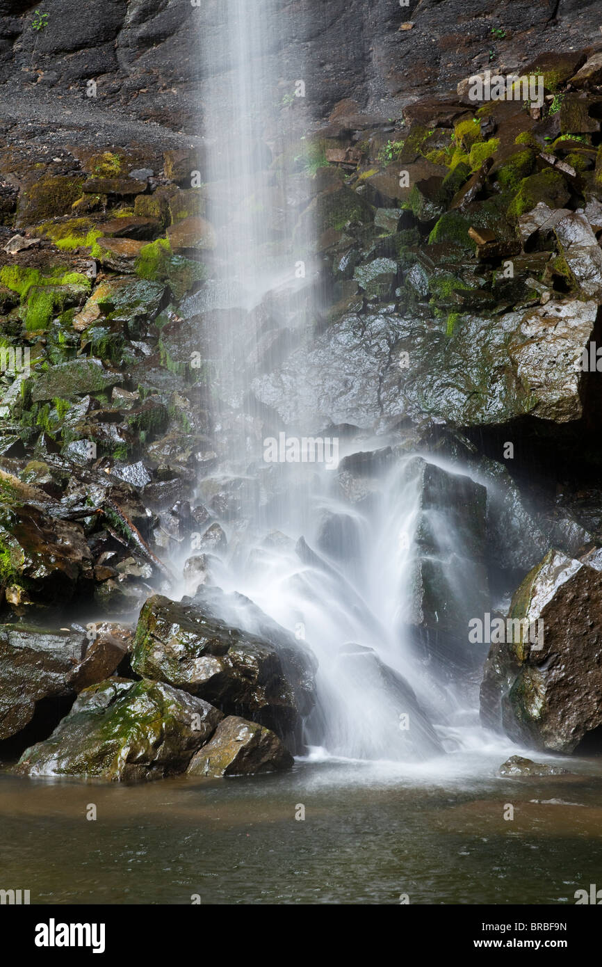 Der Fuß des Wasserfalls Hardraw Kraft in den Yorkshire Dales National Park, Hardraw, North Yorkshire Stockfoto