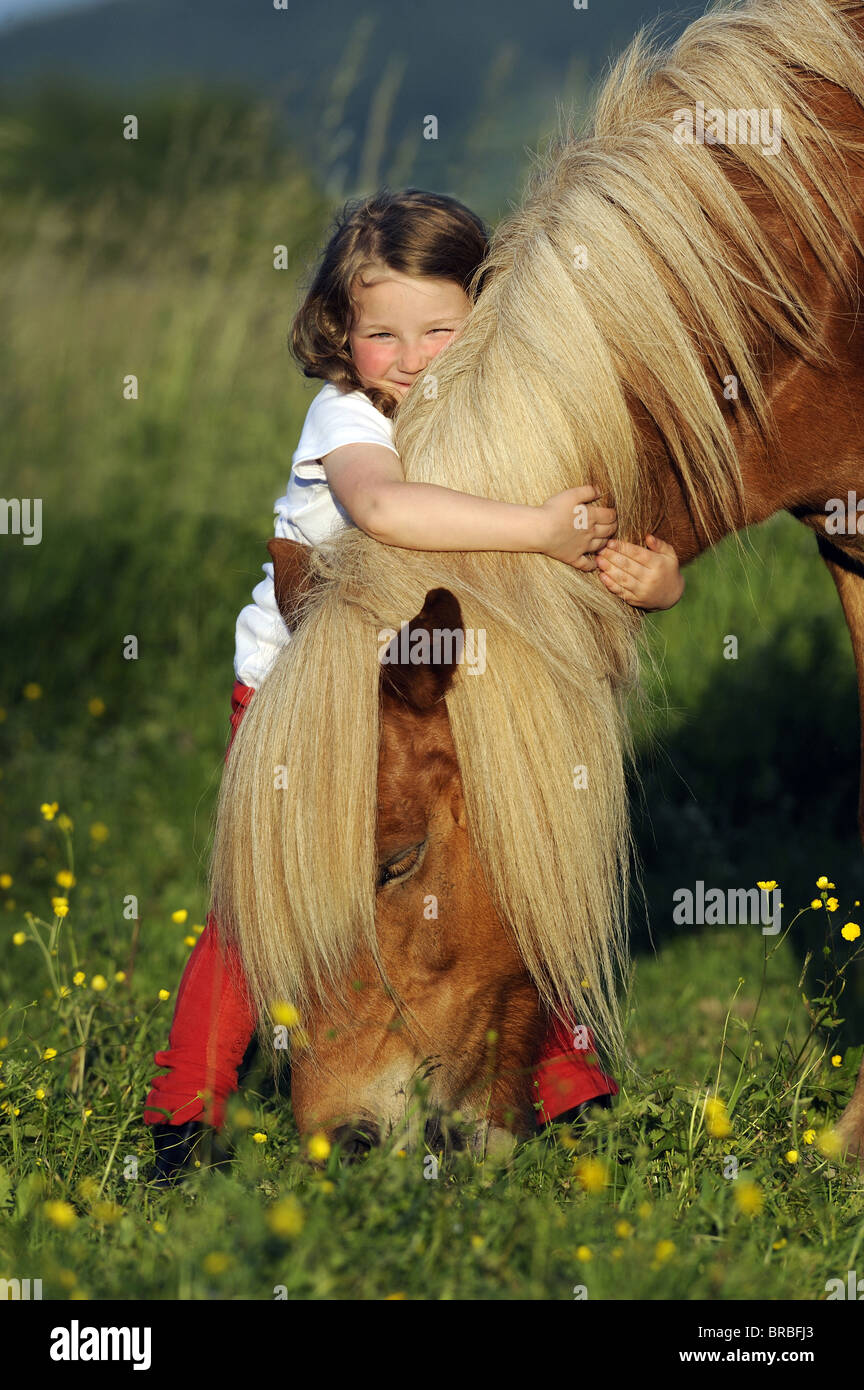 Isländische Pferd (Equus Ferus Caballus). Junges Mädchen umarmen weidenden Pferde. Stockfoto