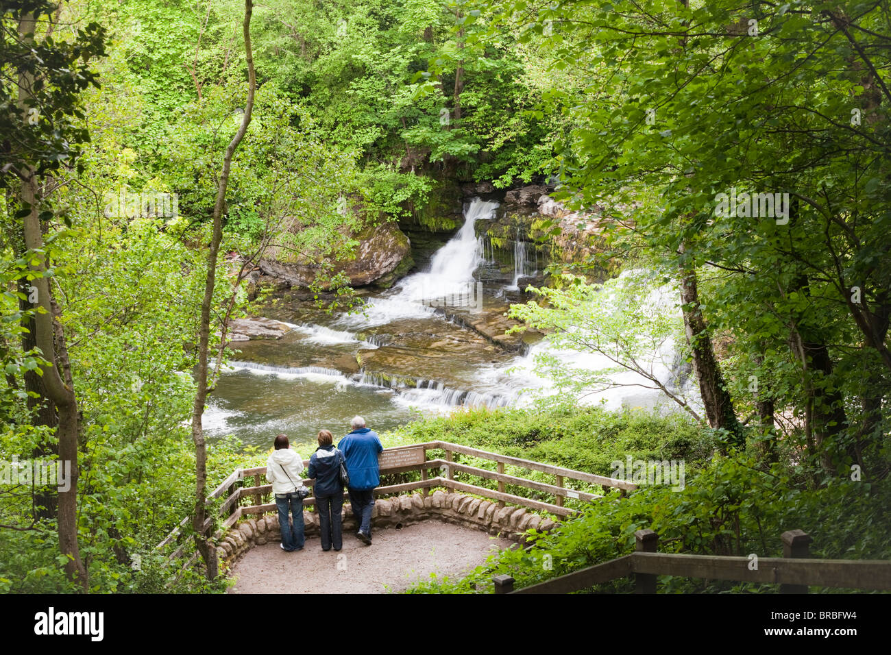 Besucher genießen die Mitte fällt auf den Fluß Ure in Aysgarth, North Yorkshire, Wensleydale, Yorkshire Dales National Park Stockfoto