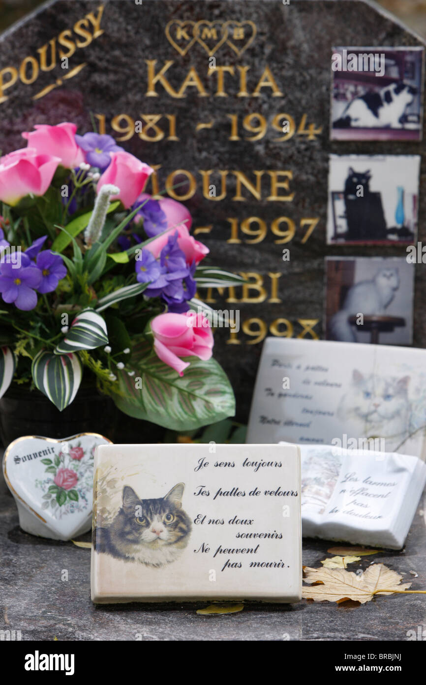 Asnieres Tierfriedhof, Asnieres, Hauts-de-Seine, Frankreich Stockfoto