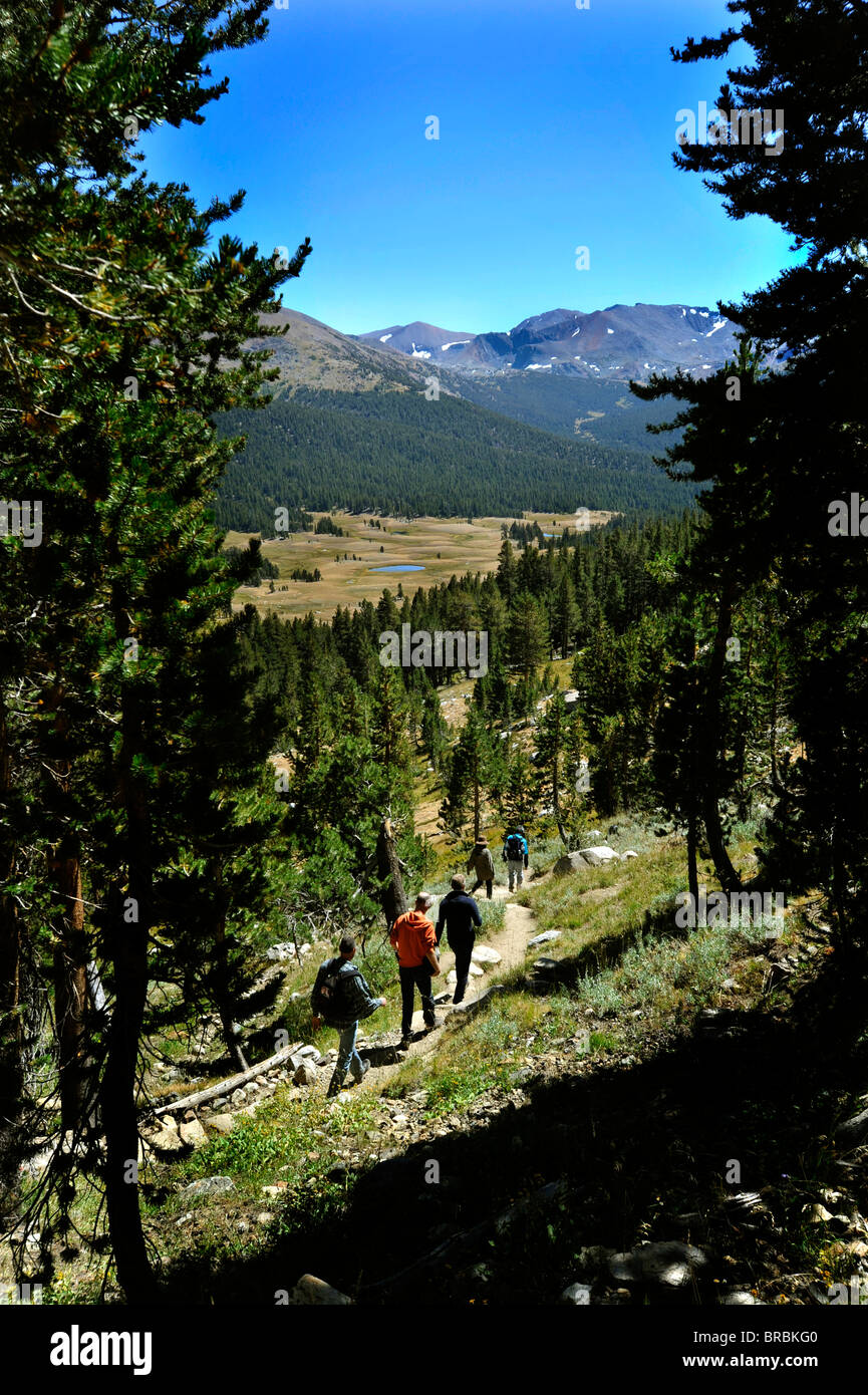 Tioga Pass Sierra Nevada Bereich Yosemite-Nationalpark Stockfoto