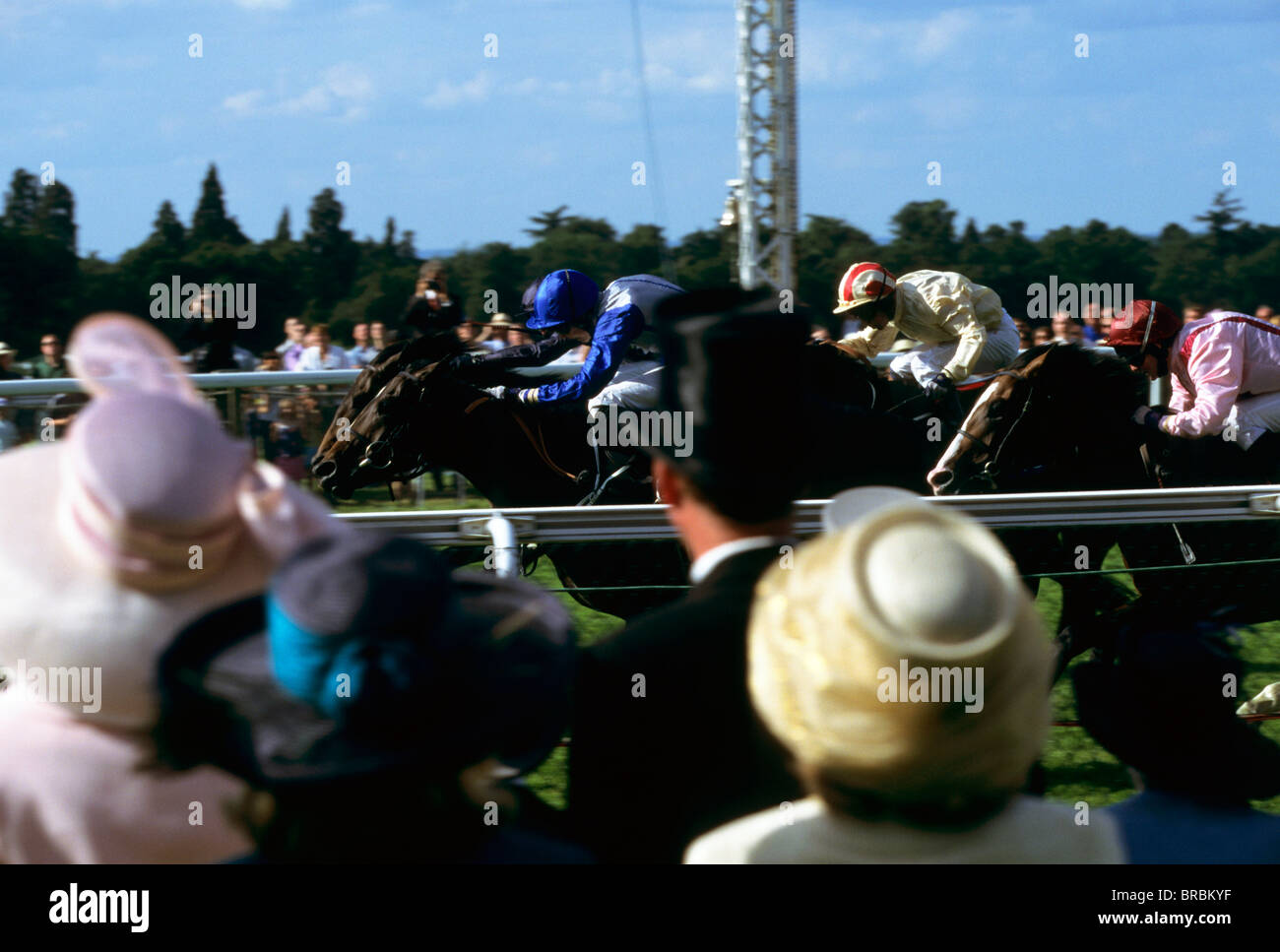 Zuschauer in Hüte beobachten, wie Pferde die Ziellinie im Rennen Stockfoto