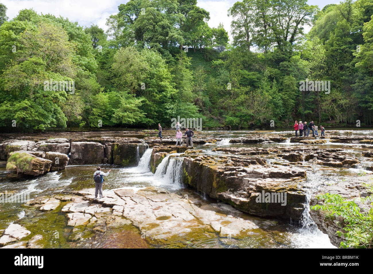 Die obere fällt auf den Fluß Ure in Aysgarth, North Yorkshire, Wensleydale, Yorkshire Dales National Park Stockfoto