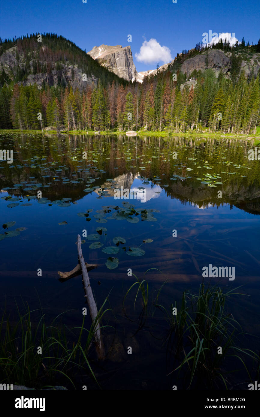 Hallets Peak spiegelt sich in Nymphe See, Rocky Mountain Nationalpark Stockfoto