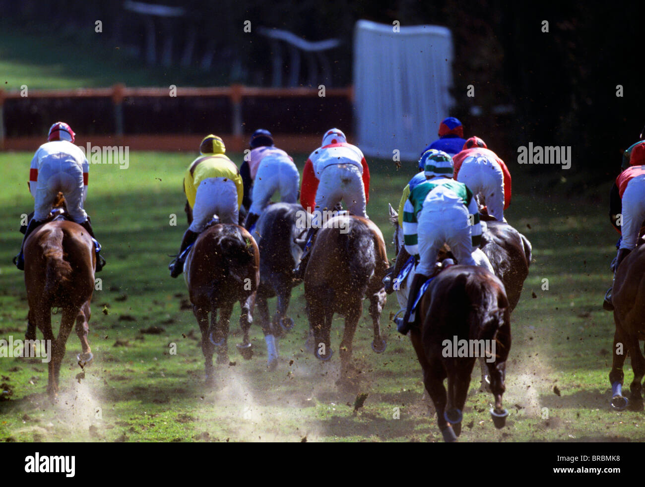 Gruppe von Rennpferde auf weichem Gelände nähern sie Hindernislauf Zaun Stockfoto