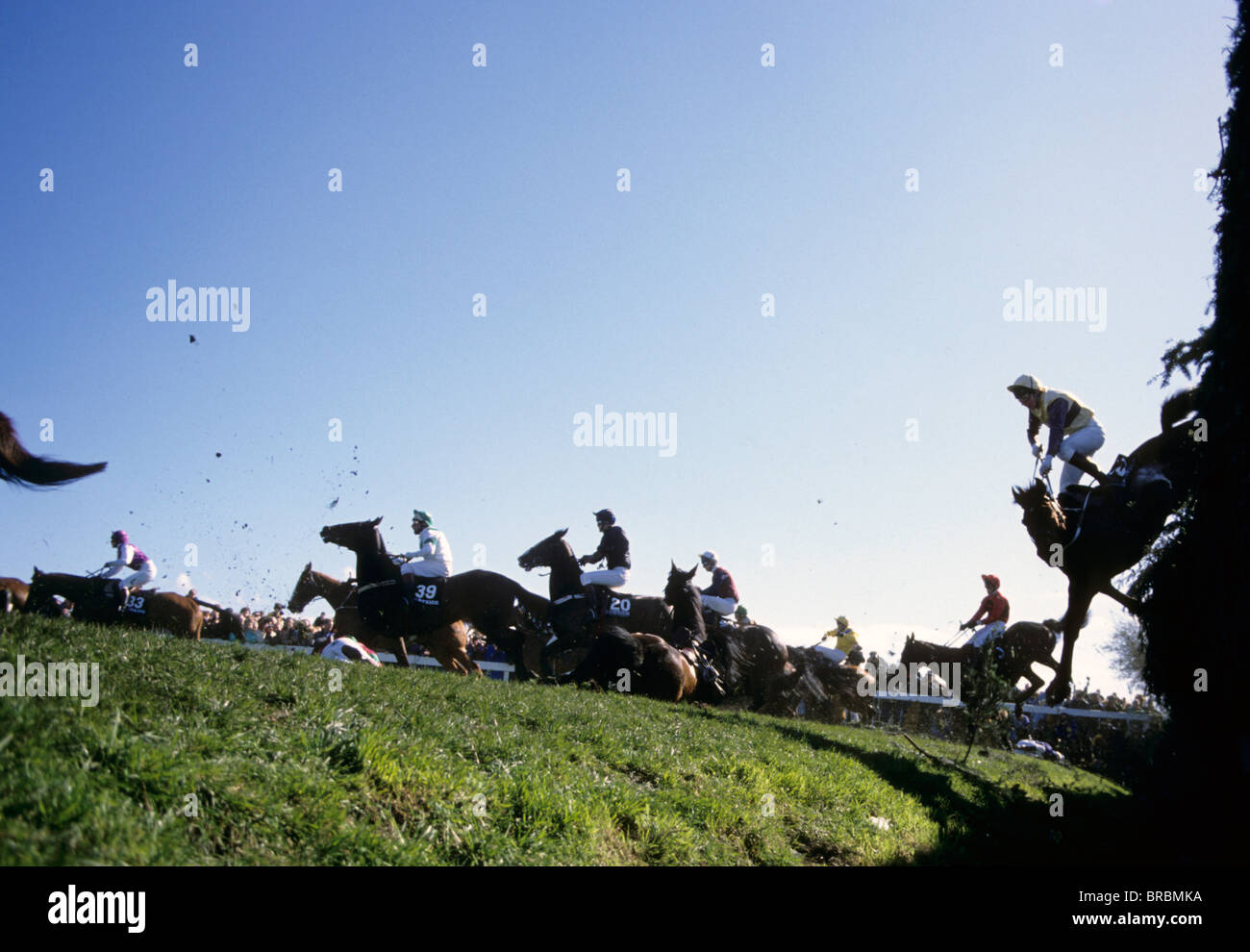 Pferde springen und fallen bei großen Hindernislauf Zaun Stockfoto