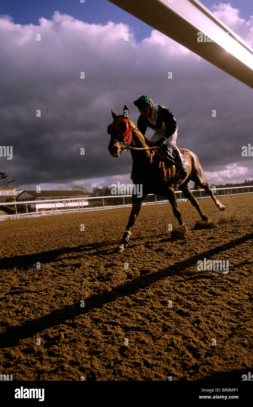 Jockey zieht sein Pferd sich von Galopp auf einer Rennstrecke Stockfoto