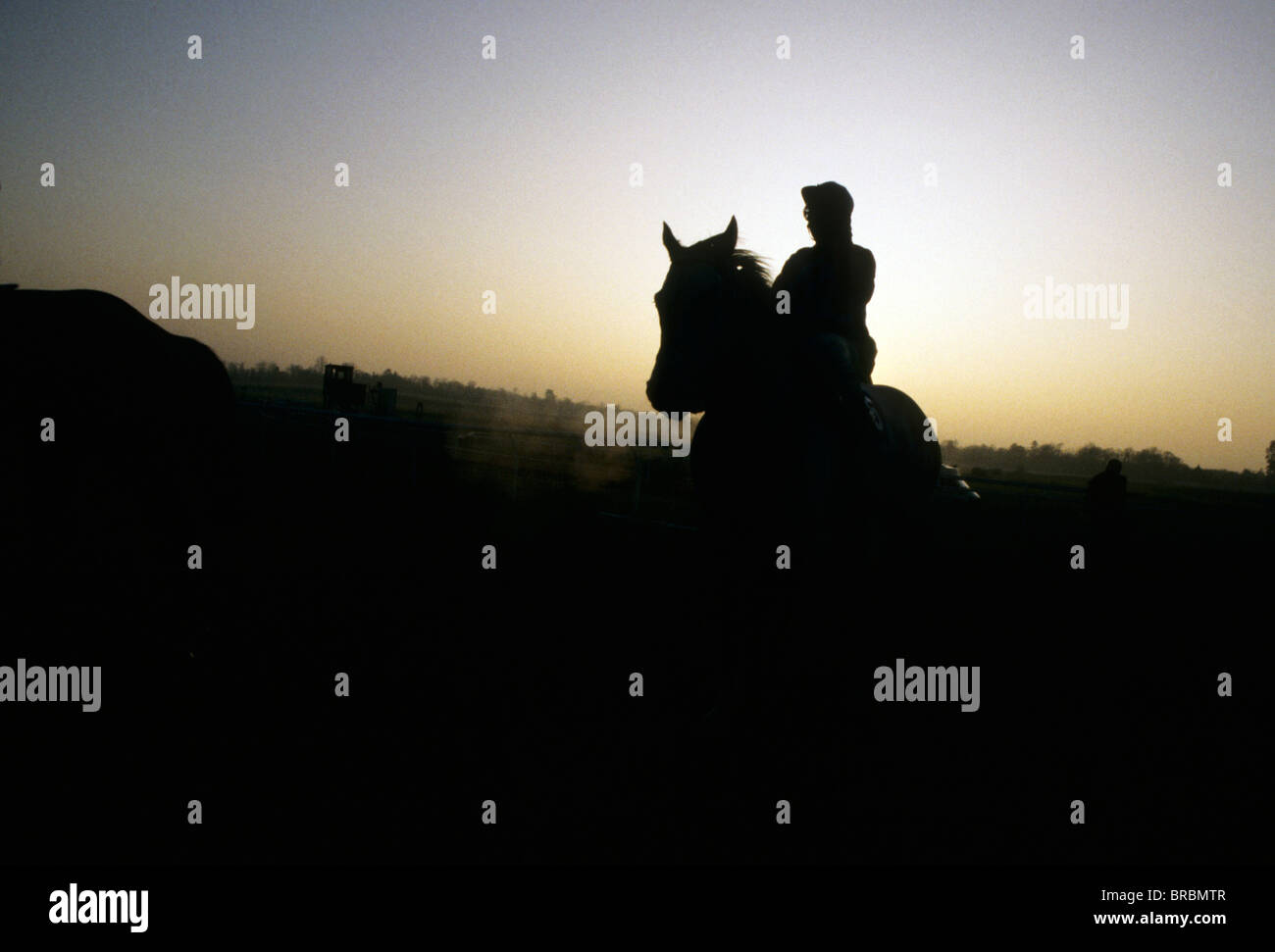 Jockey zieht auf seinem Pferd am Ende der Pferderennen Stockfoto