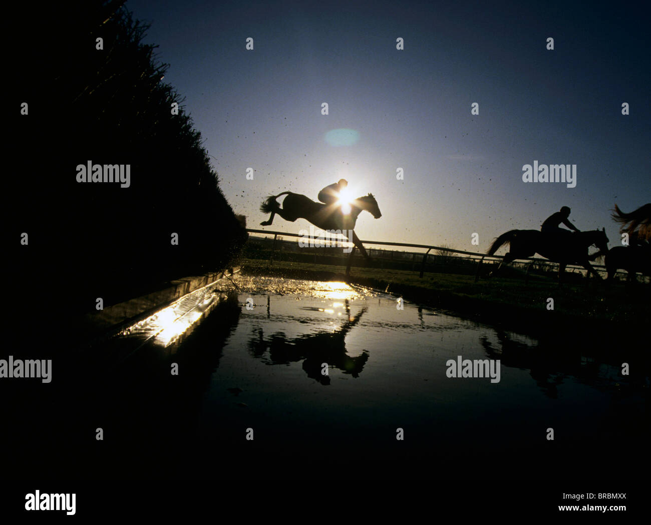 Hindernislauf Jockeys springen ihre Pferde über Wasser zu springen Stockfoto