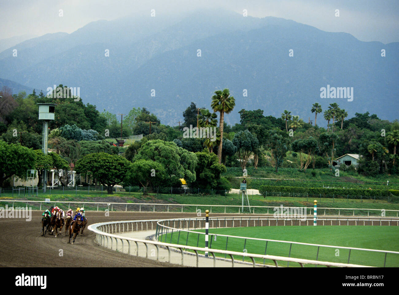 Pferde Rennen um die Ecke beim Race track mit malerischen Hintergrund Stockfoto