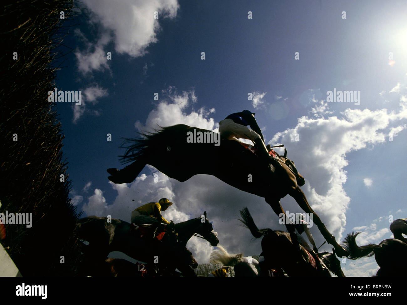 Gruppe von Pferden und Jockeys springen einen Hindernislauf Sprung Stockfoto