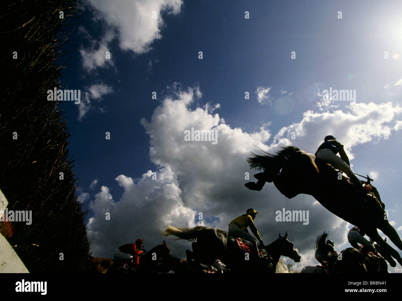 Pferde und Jockeys springen einen Hindernislauf Sprung Stockfoto