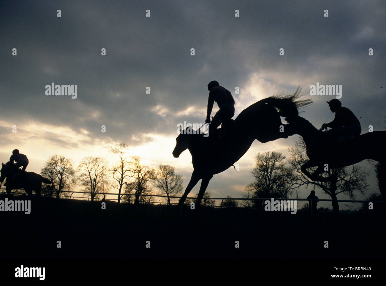 Gruppe von Pferden und Jockeys springen einen Hindernislauf Sprung Zuschauer schauen auf spät Renntag Stockfoto