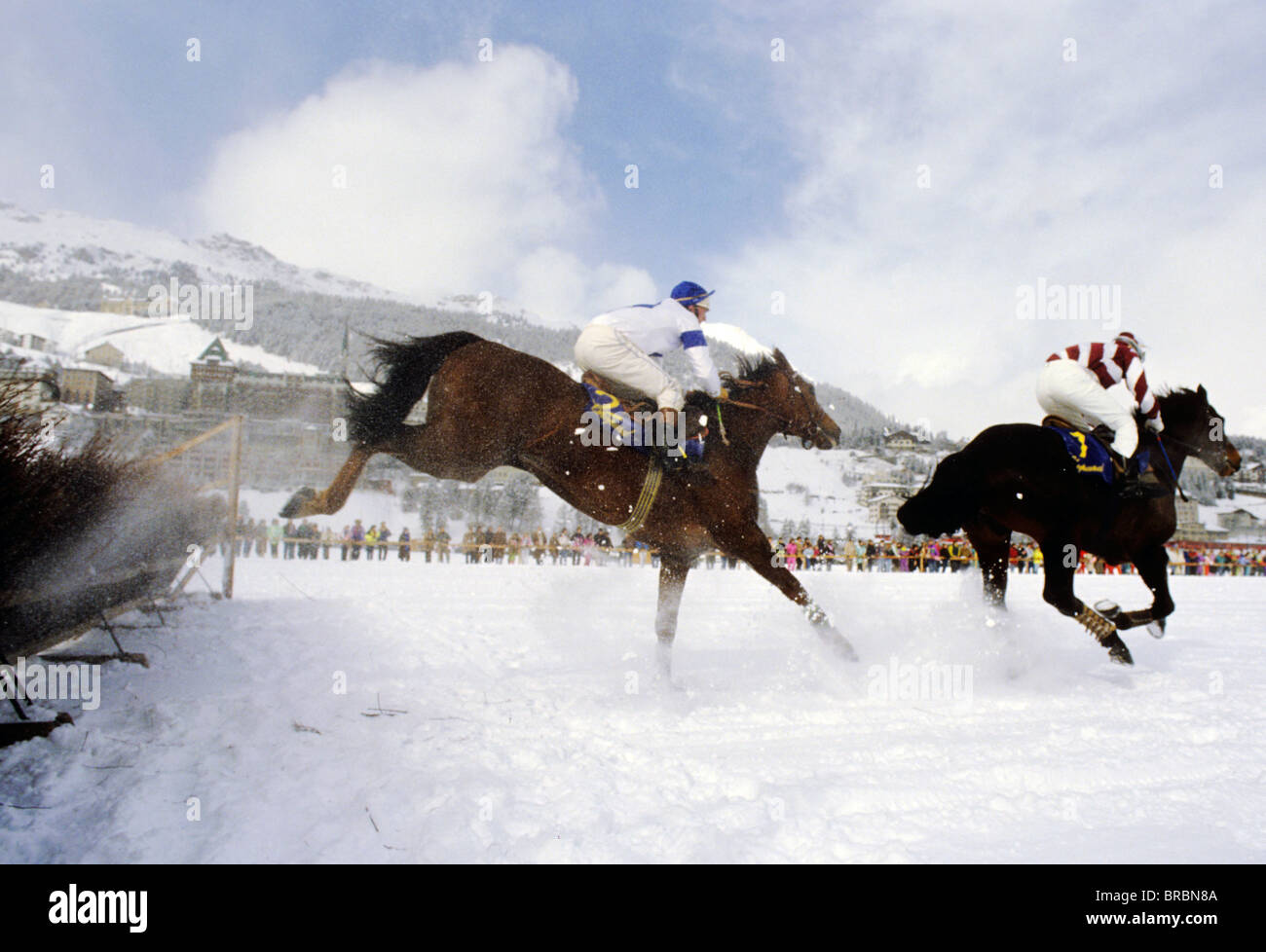 Zwei Pferde und Jockeys nehmen Dickicht Zaun in Eis-Pferderennen Stockfoto