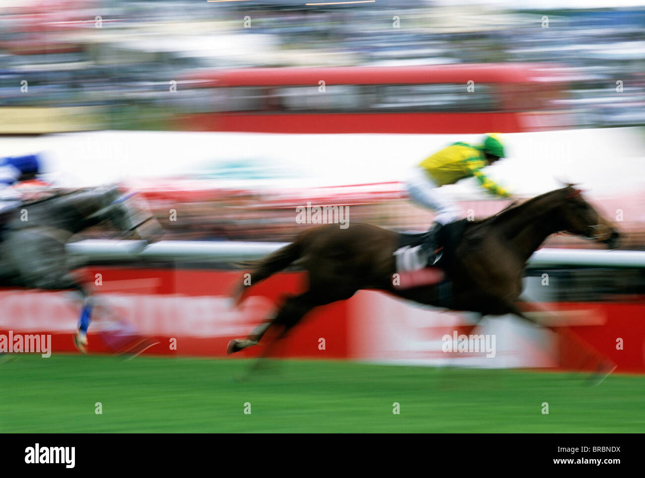 Unschärfe-Effekt als Jockey treibt sein Pferd in Richtung Ziellinie Stockfoto