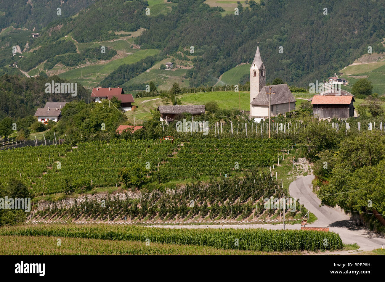 Tiso, Villnösser Tal (Villnoss), Dolomiten, Trentino Alto Adige, South Tyrol, Italien Stockfoto