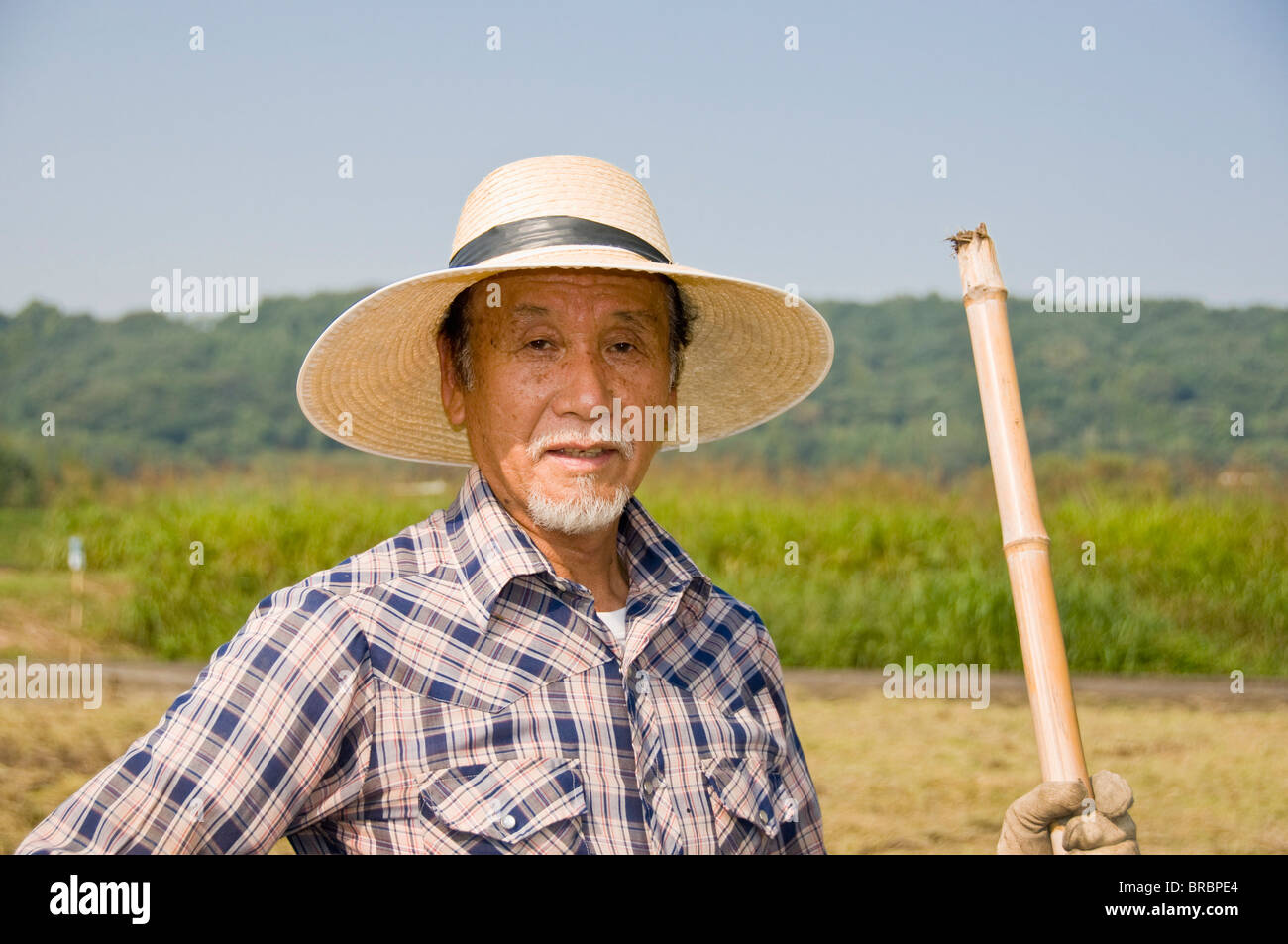 Landwirt in Reis Feld, Oita, Kyushu, Japan Stockfoto