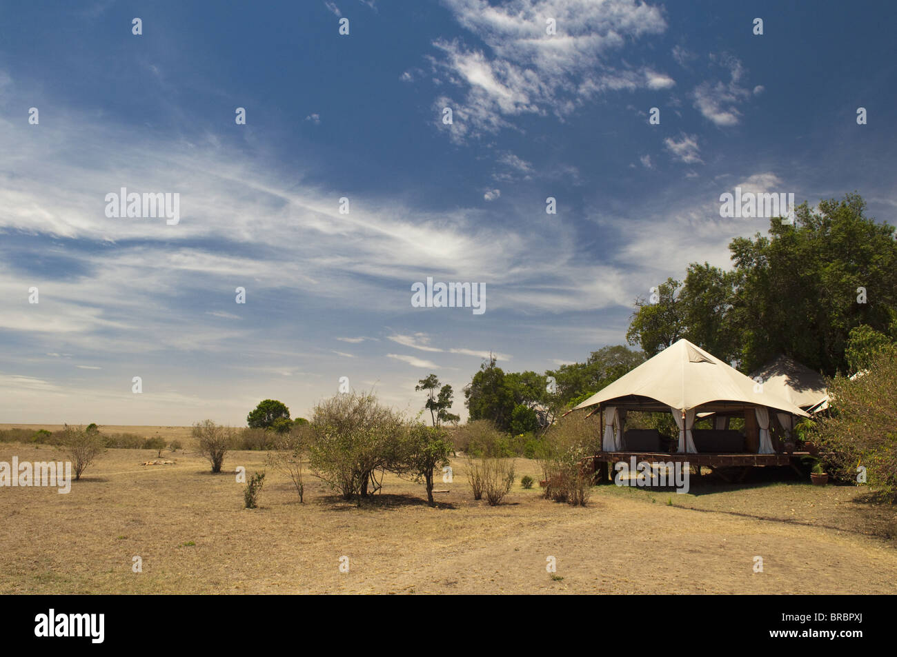 Mara Plains Tented Camp, Masai Mara, Kenia., Ost-Afrika Stockfoto