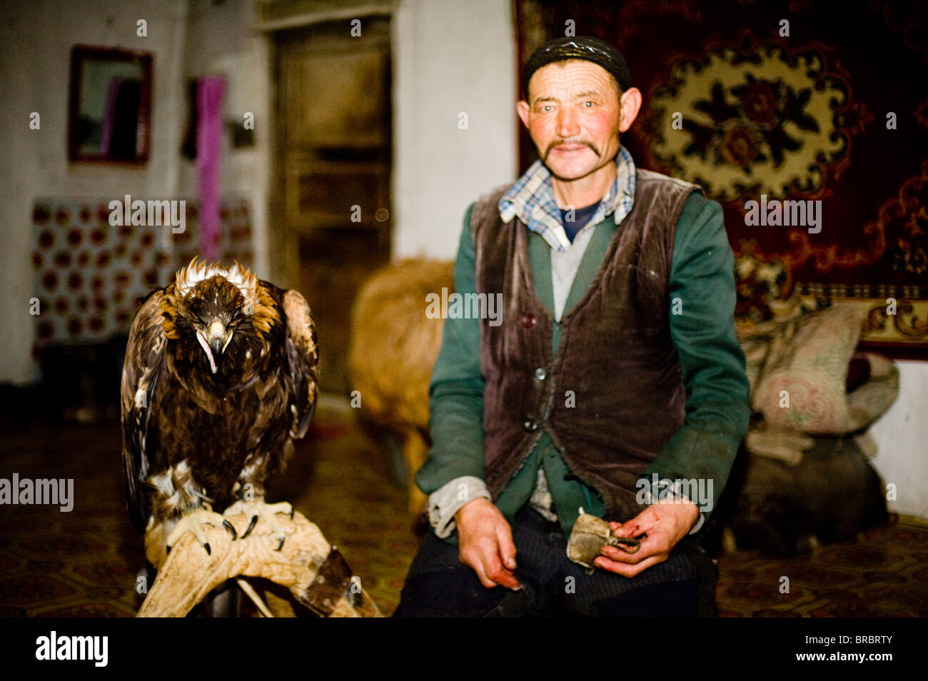 Ein Adler-Jäger zu Hause mit seinem Adler in Bayan Ölgii, Mongolei, Zentralasien Stockfoto
