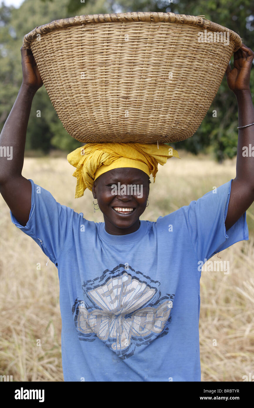 Reis Landwirtschaft, Bignola, Casamance, Senegal, Westafrika Stockfoto