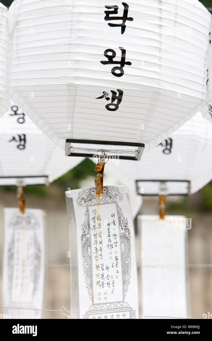 Weißen Laternen zu Ehren der Toten, Seoul, Südkorea Stockfoto