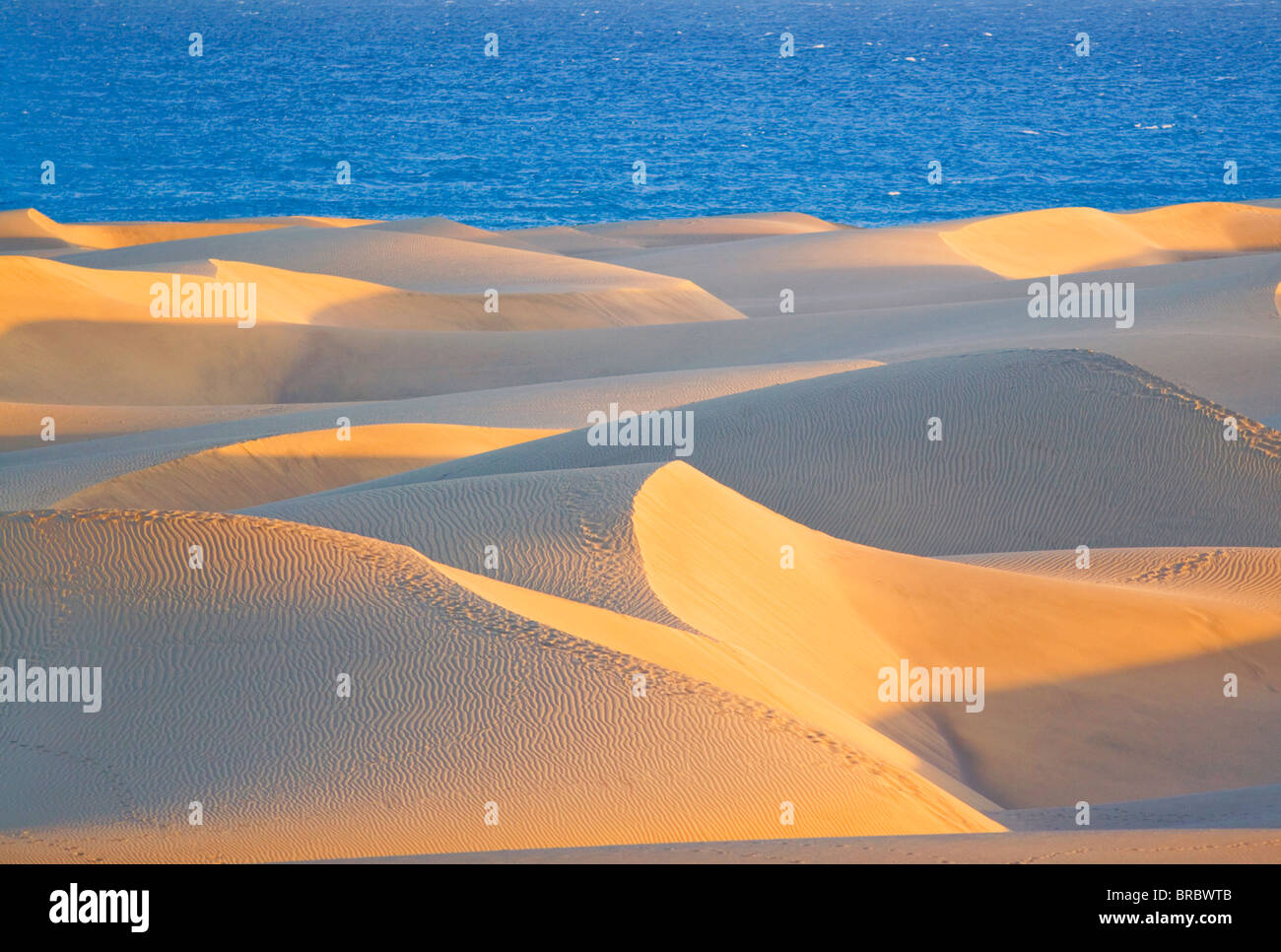 Dünen von Maspalomas und am Meer, Gran Canaria, Kanarische Inseln, Spanien, Atlantik Stockfoto