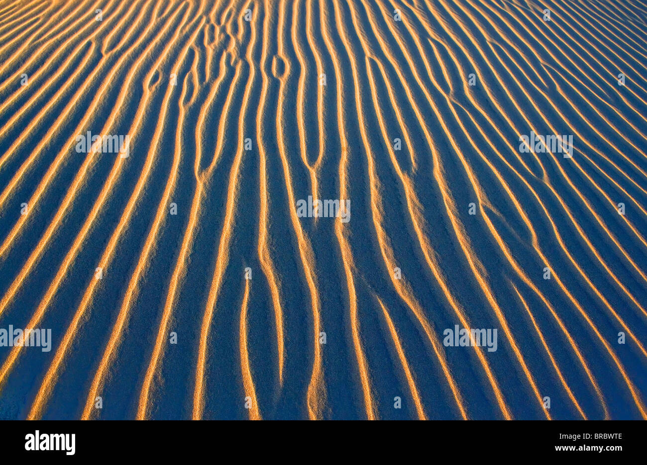 Sand-Muster, Maspalomas, Gran Canaria, Kanarische Inseln, Spanien, Atlantik Stockfoto
