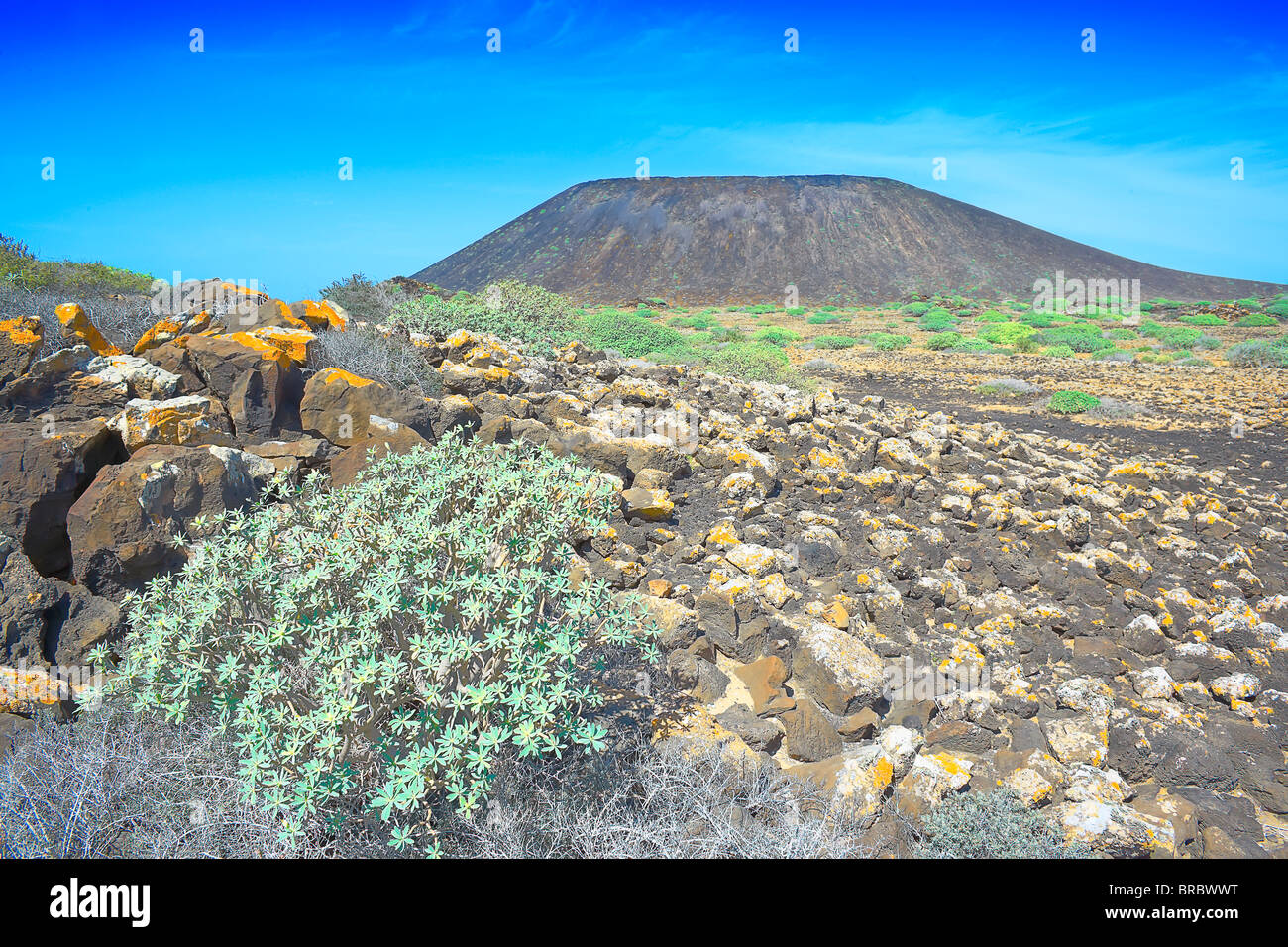 Vulkanische Landschaft, Isla de Los Lobos, Fuerteventura, Kanarische Inseln, Spanien Stockfoto