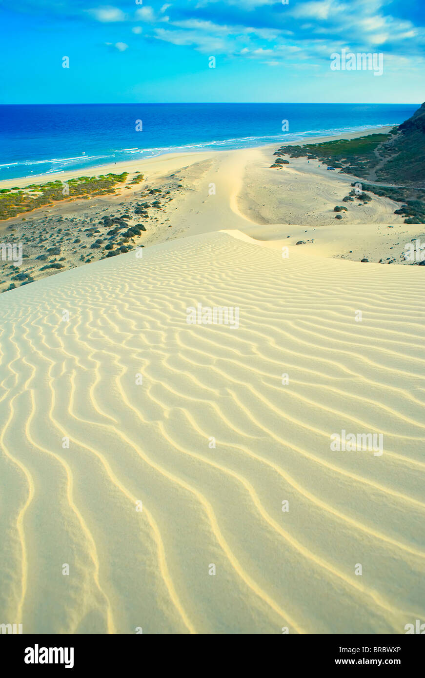 Sandy Dünen am Sotovento Strand Jandia Peninsula, Fuerteventura, Kanarische Inseln, Spanien, Atlantik Stockfoto