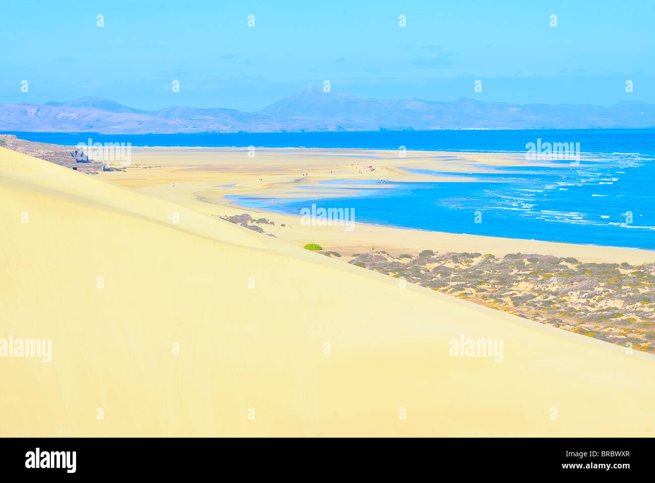 Sandy Dünen am Sotovento Strand Jandia Peninsula, Fuerteventura, Kanarische Inseln, Spanien, Atlantik Stockfoto