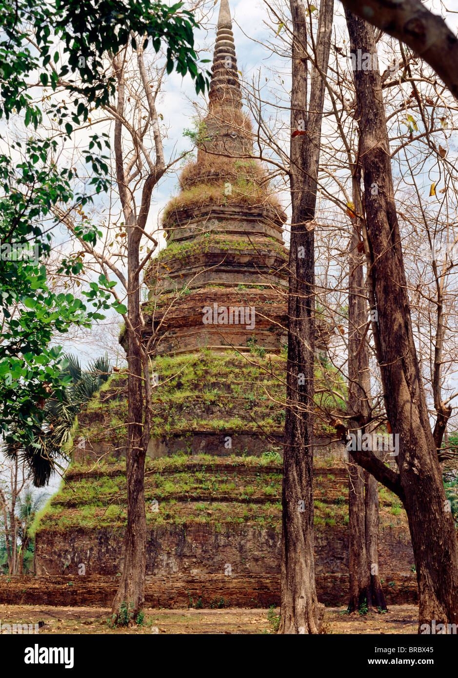 Chedi aus dem 13. Jahrhundert, Wat Chedi Luang, Chiang Saen, Thailand Stockfoto