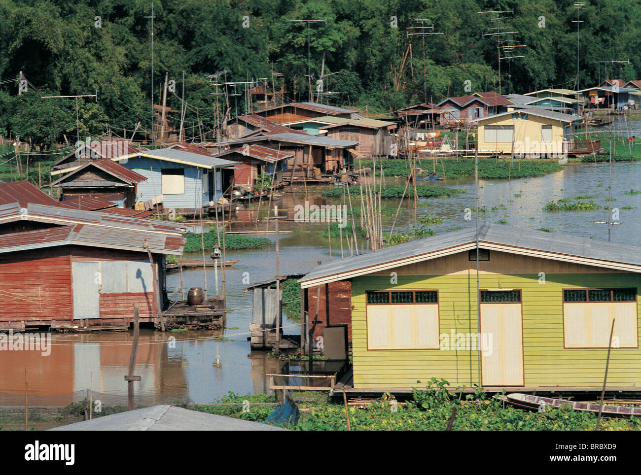 Schwimmende Häuser, Chainat, Thailand Stockfoto