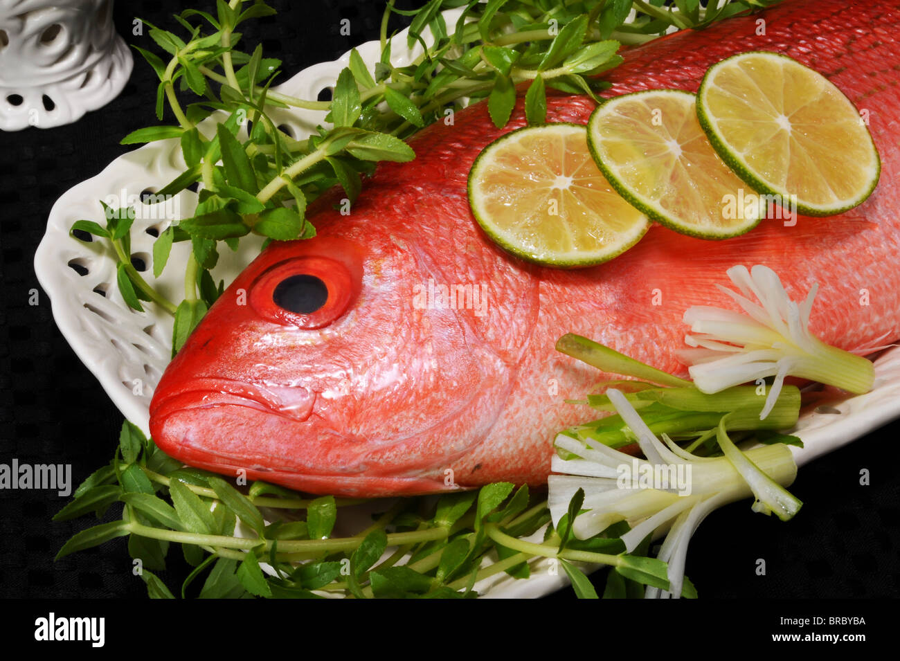 Red Snapper Fisch Stockfoto
