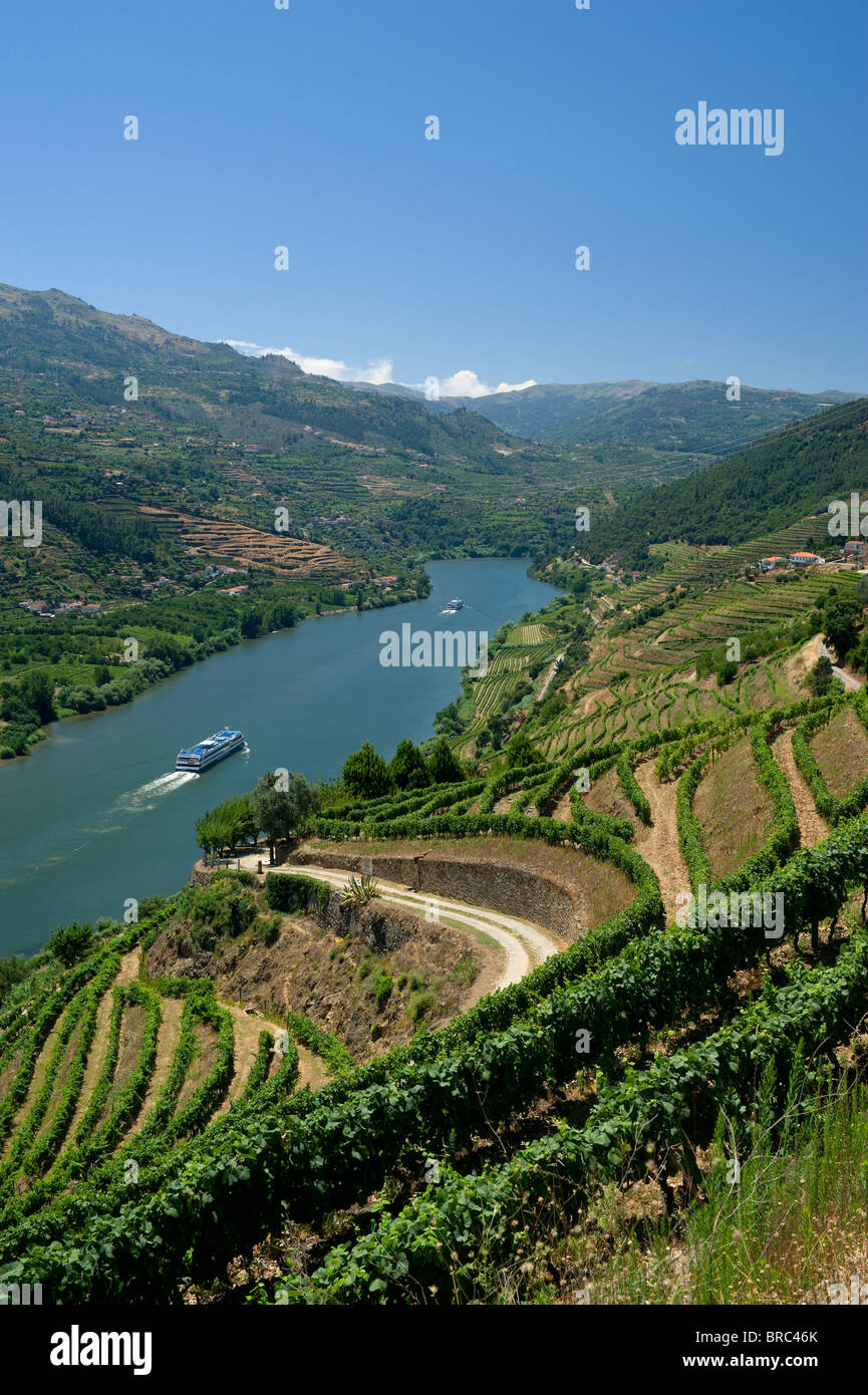 Portugal, Alto Douro, Douro-Tal in der Nähe von Peso da Regua Stockfoto