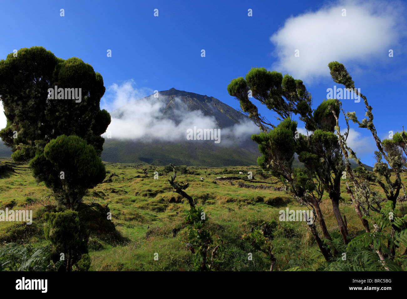 Der Berg Pico mit weißen Wolken vorbei gefangengenommen. Insel Pico, Azoren, Portugal. Stockfoto