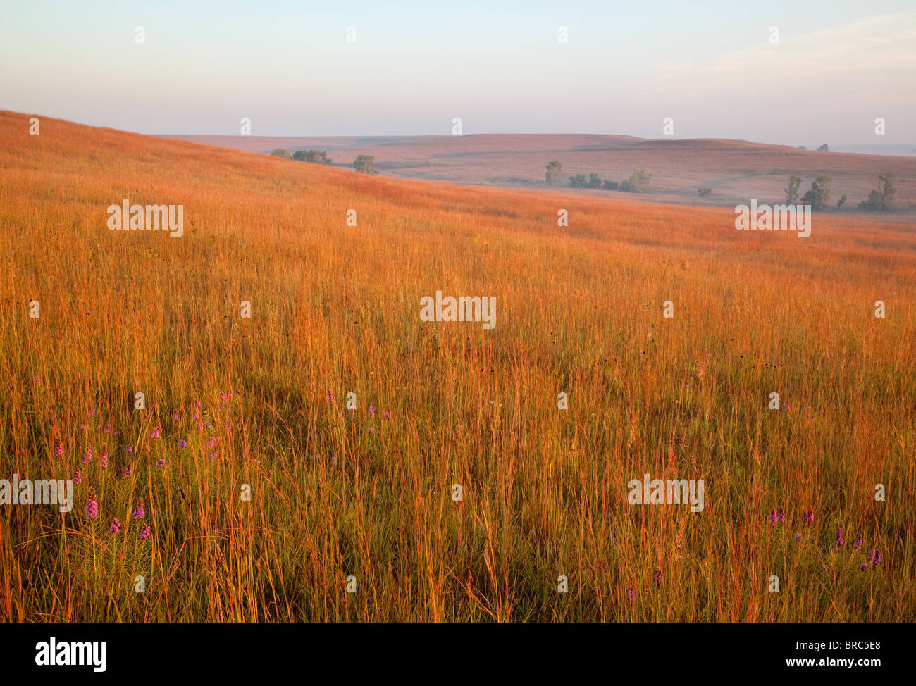 Tallgrass Prairie im Herbst, Tallgrass Prairie National Preserve, Kansas Stockfoto