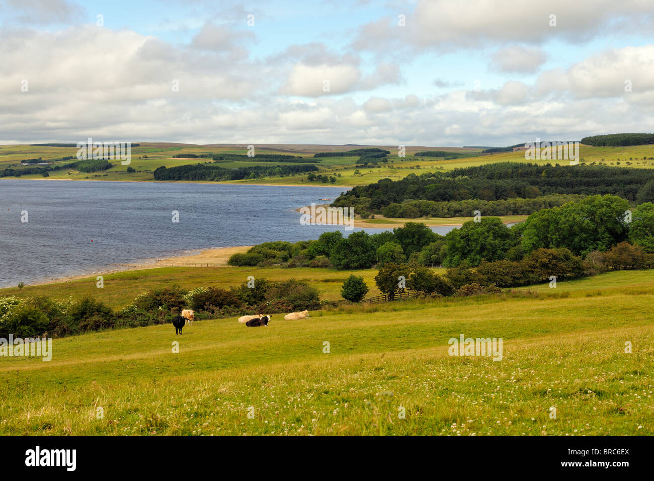 Das Derwent Reservoir in ein Gebiet von außergewöhnlicher natürlicher Schönheit, Northumberland, England Stockfoto