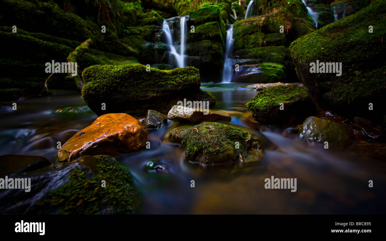 Ein Wasserfall schnitzen es ist Weg, obwohl bemoosten Felsen bei Clydach Schlucht. Stockfoto