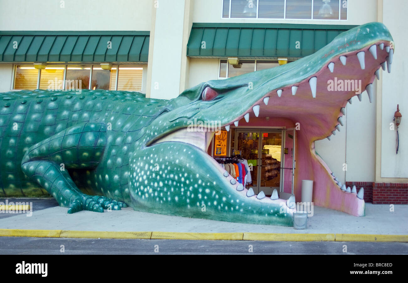 Ein skurriler Souvenirladen von Surf City empfängt Besucher durch einen riesigen Eingang mit Alligatormündung, der den Charme der Strandstadt mit verspieltem Spaß am Straßenrand verbindet. Stockfoto