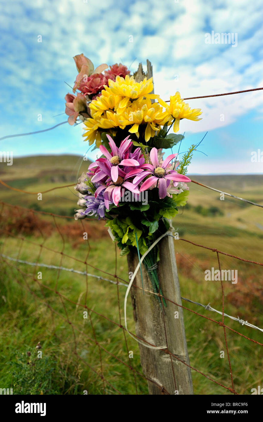 Blumen nach links in der Nähe von einem Unfall Sternrußtau in der Nähe von Treorchy Stockfoto